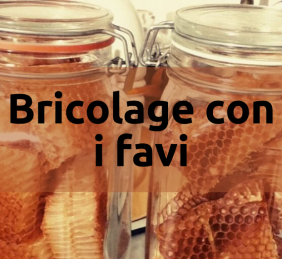 Bricolage con favi di cera d’api