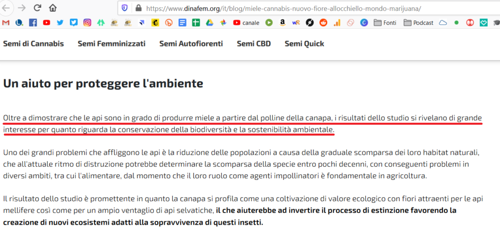 miele di canapa